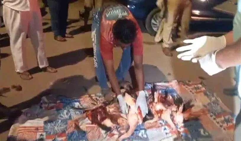 阿聯酋航空一航班遭遇鳥擊 撞死40只火烈鳥 飛機受損停飛 阿聯酋航空一航班遭遇鳥擊 撞死40只火烈鳥 飛機受損停飛