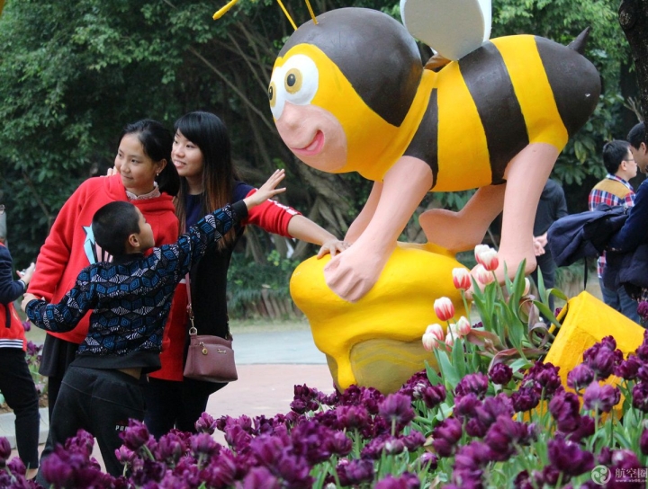  2017年春節(jié)期間，廣西南寧青秀山30多萬株郁金香引來眾多游客