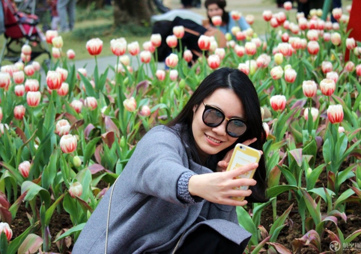  2017年春節(jié)期間，廣西南寧青秀山30多萬株郁金香引來眾多游客