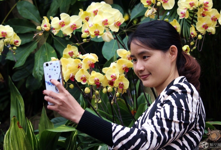 2017年春節(jié)期間，廣西南寧青秀山蘭花展引來眾多游客