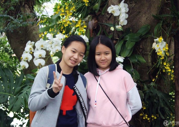 2017年春節(jié)期間，廣西南寧青秀山蘭花展引來眾多游客