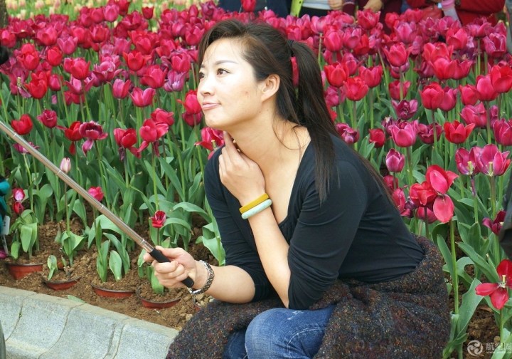  2017年春節(jié)期間，廣西南寧青秀山30多萬株郁金香引來眾多游客